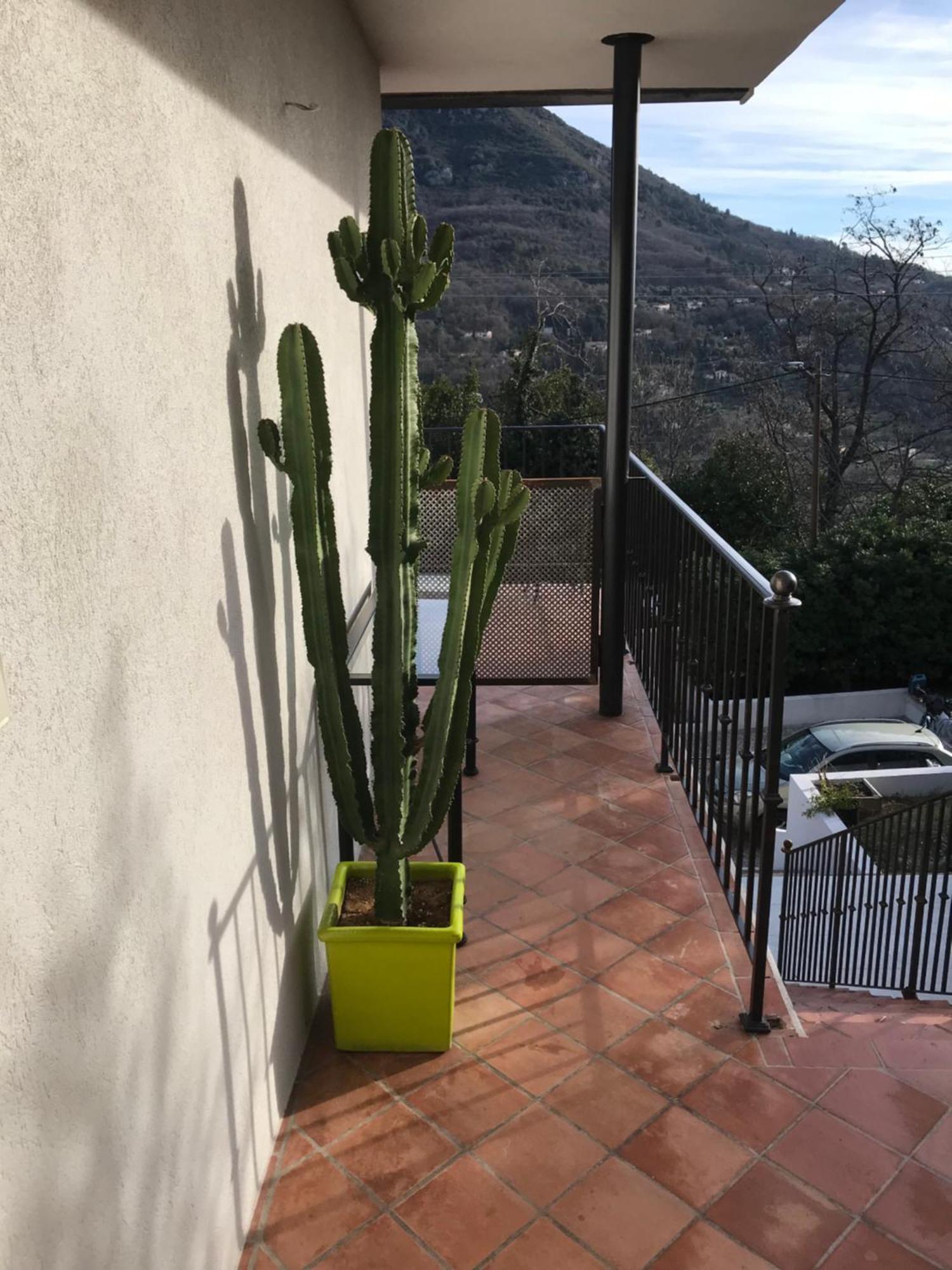 Haut De Villa Avec Vue - Le Bar Sur Loup 06 Exteriör bild