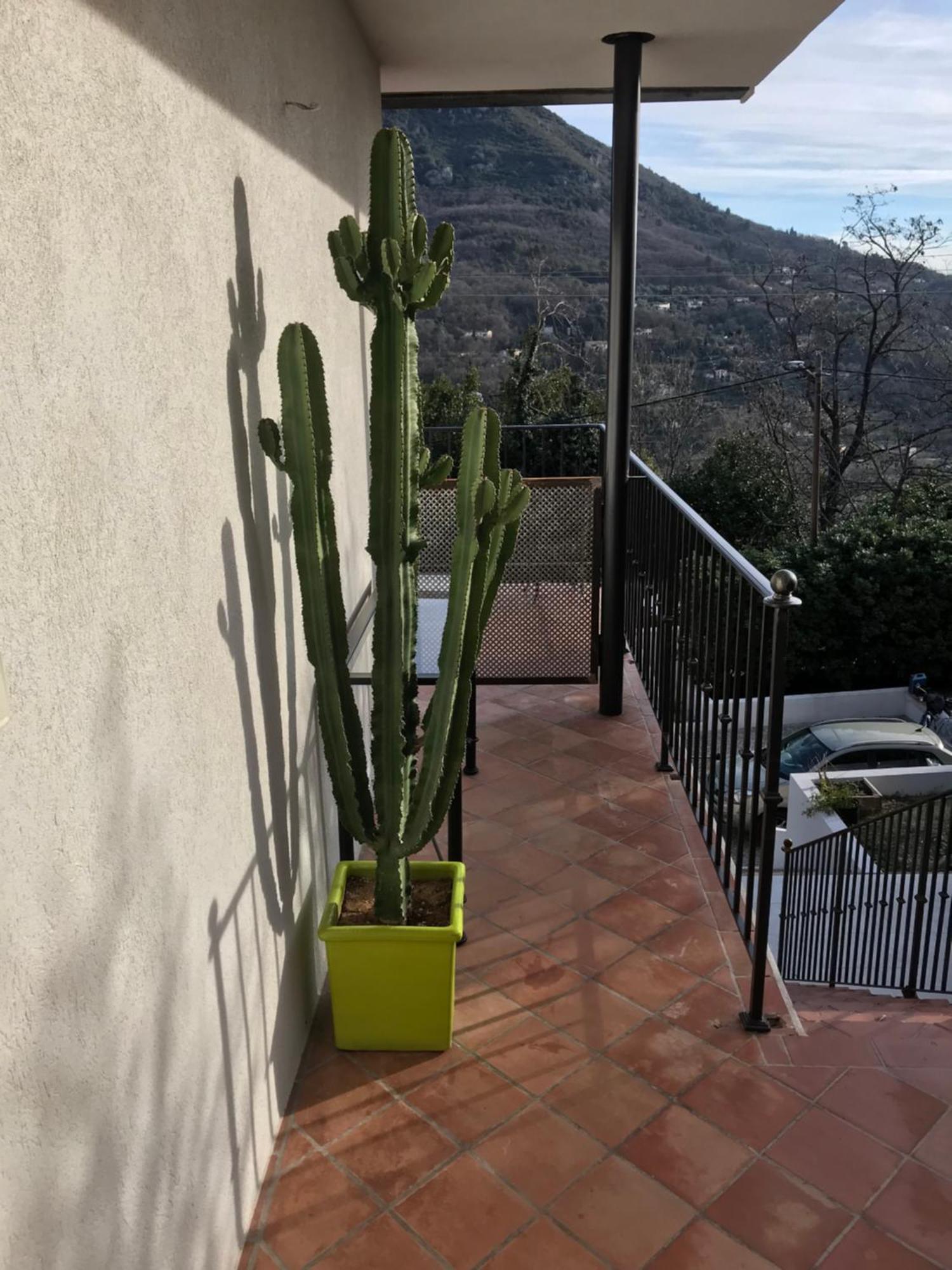 Haut De Villa Avec Vue - Le Bar Sur Loup 06 Exteriör bild